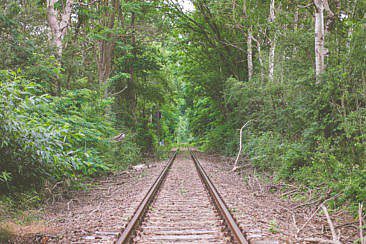 Draisinenfahrt im Fläming
