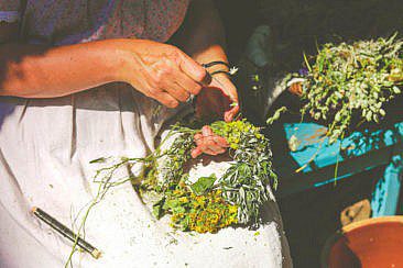 Freilandmuseum Lehde Ausflugsziele im Spreewald