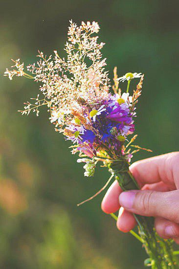 Bulli Roadtrip mit Rent a Bulli