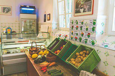 Bulli Roadtrip Spreewald & Fläming (11)