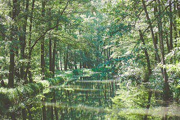 Spreewald-Radtour