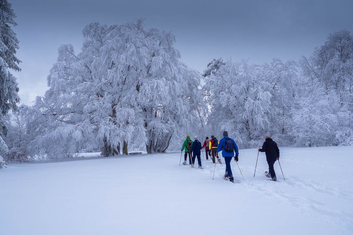 Besondere Ausflugsziele in Baden-Württemberg - Schneeschuhwandern