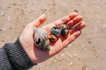 Die schönsten Strände rund um Haarlem - Zandvoort aan Zee