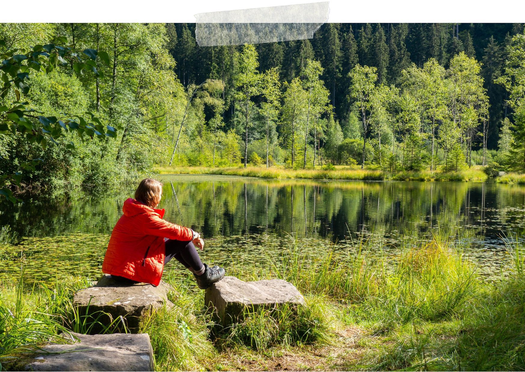 Trekking im Schwarzwald Wildcampen, Rezepte & Packliste für eine Mehrtageswanderung