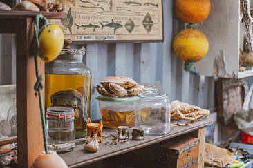 Strandfunde Camping Geversduin