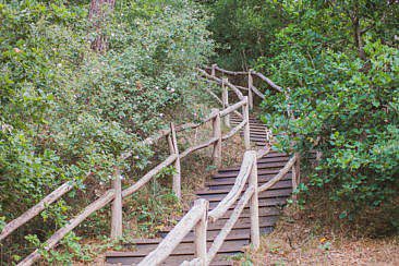 Nordholländisches Dünenreservat