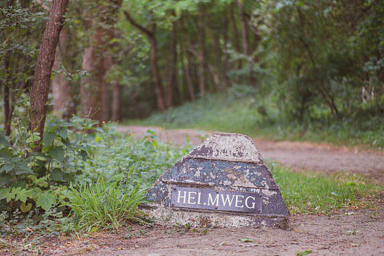 Grüne Wanderung durch Castricum