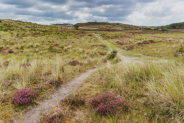 Die abwechslungsreichste Heidewanderung in Holland