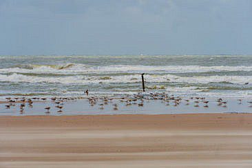 Schoorl aan Zee