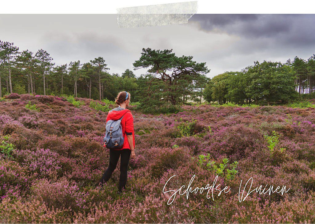 Die abwechslungsreichste Heidewanderung in Holland