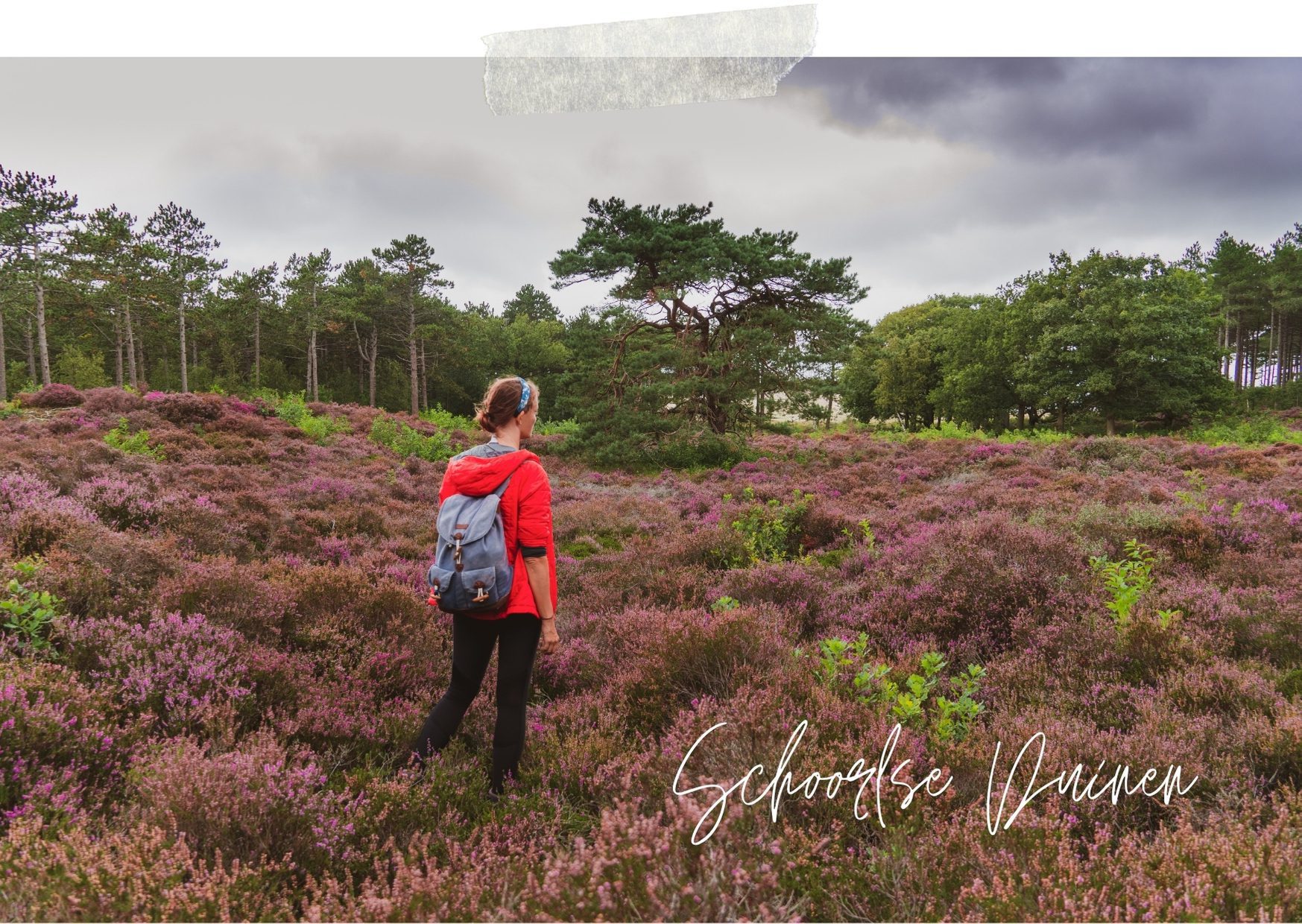 Die abwechslungsreichste Heidewanderung in Holland