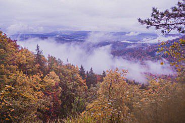 Traufgang Zollernburgpanorama