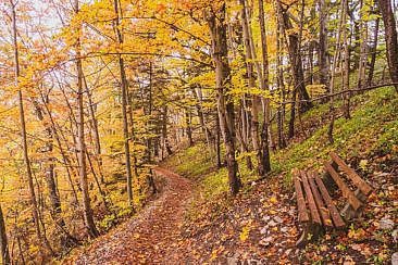 Traufgang Felsenmeersteig
