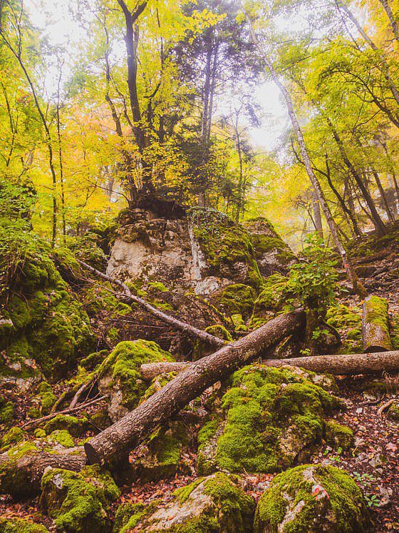 Traufgang Felsenmeersteig - Felsenmeer Schwäbische Alb
