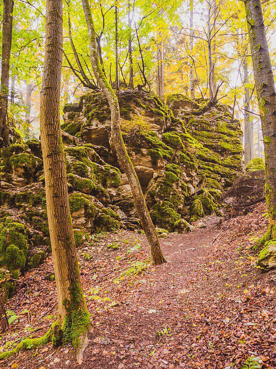 Traufgang Felsenmeersteig - Felsenmeer Schwäbische Alb