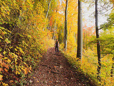Traufgang Felsenmeersteig Schwäbische Alb