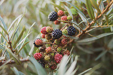 Aktivurlaub in Zeeland