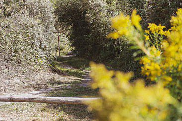 Kabbelaarsbank - Wandern in Zeeland