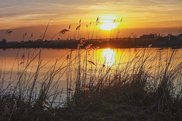 Mikroabenteuer Floßurlaub in der Wildnis bei Amsterdam