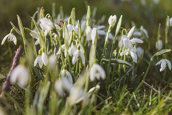 Mikroabenteuer Floßurlaub in der Wildnis bei Amsterdam