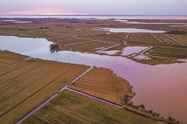 Mikroabenteuer Floßurlaub in der Wildnis bei Amsterdam