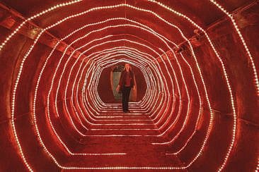 Follybos 'T Westendorp