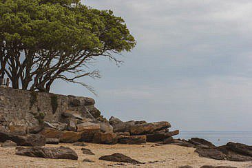 Bois de la Chaise Noirmoutier