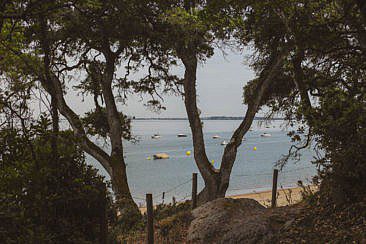 Bois de la Chaise Noirmoutier