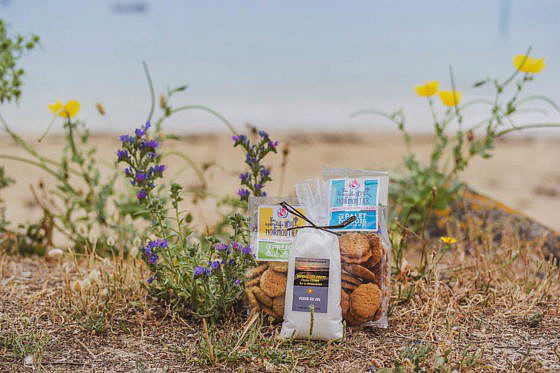 Salzwiesen Insel Noirmoutier