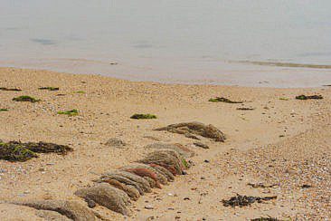 Le Viel Insel Noirmoutier