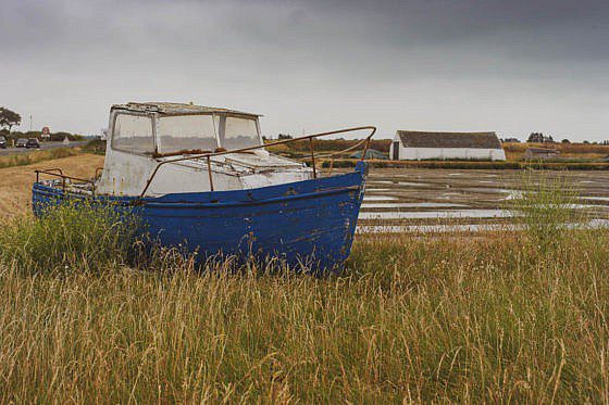 Salzwiesen Insel Noirmoutier
