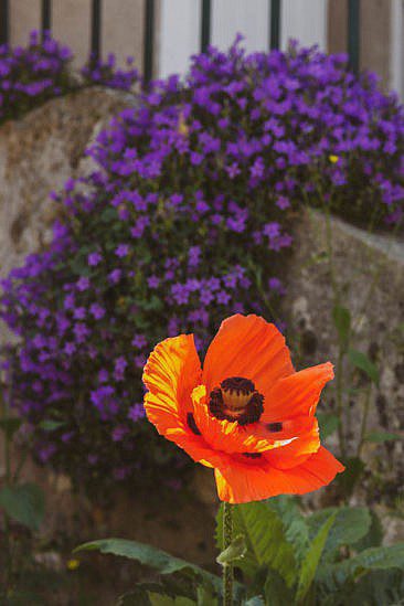 Frankreich Roadtrip Chartres