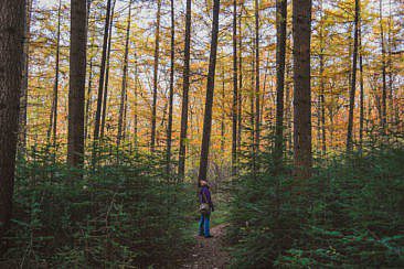 Ausflugsziele Utrecht Utrechtse Heuvelrug (3)