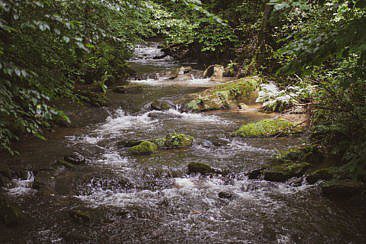 Trekking im Odenwald