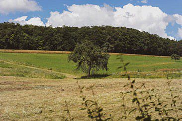 Trekking-Camps im Odenwald