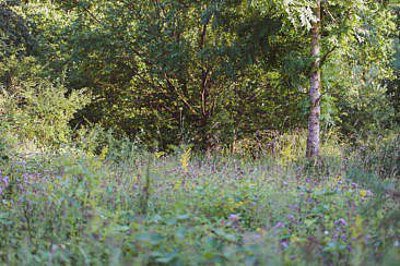 Trekking-Camps im Odenwald
