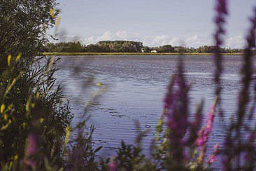 Mikroabenteuer Packrafting Biesbosch