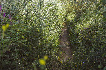 Mikroabenteuer Packrafting Biesbosch