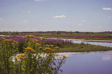 Mikroabenteuer Packrafting Biesbosch
