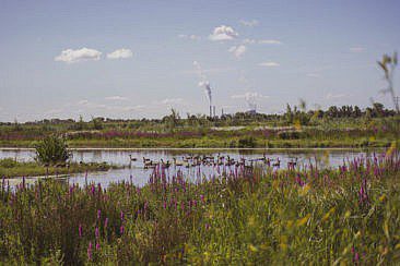 Mikroabenteuer Packrafting Biesbosch