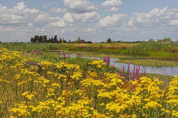 Mikroabenteuer Packrafting Biesbosch