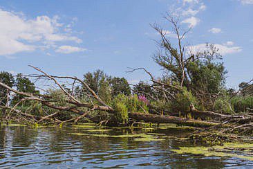 Mikroabenteuer Packrafting Biesbosch