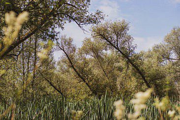 Packrafting im Biesbosch Mikroabenteuer52