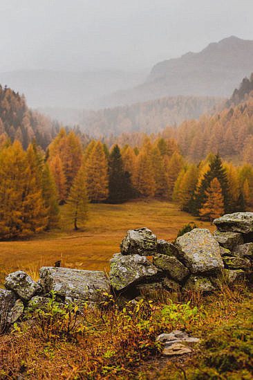 Lagh da Saoseo Valposchiavo Ausflugsziele Sehenswürdigkeiten Val da Camp