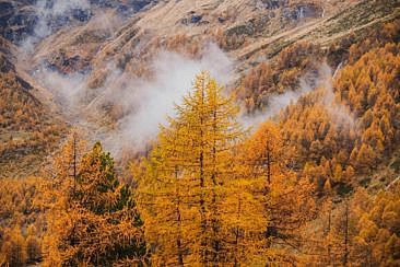 Indian Summer Schweiz Wanderung Valposchiavo Cavaglia Bernina Pass1