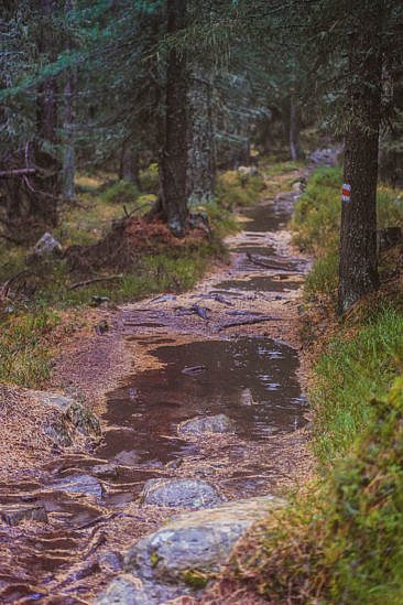 Indian Summer Wanderung Lagh da Saoseo Val da Camp