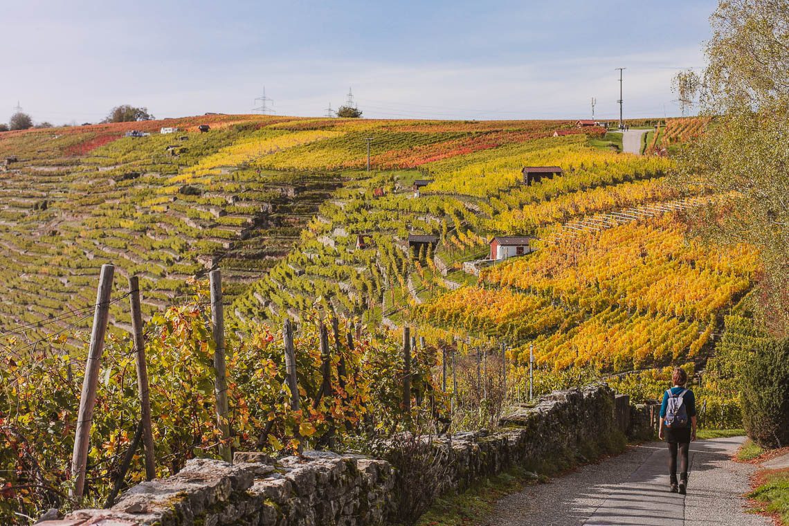 Schönste Weinsicht Baden-Württemberg