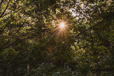Nutchel Les Ardennes
