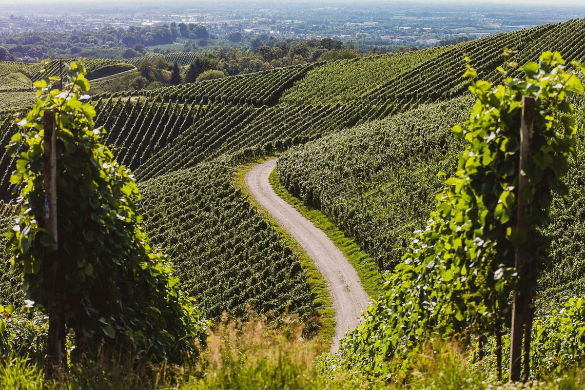 Schwarzwald Insider-Tipp Baden-Württemberg Sasbachwalden