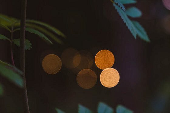 Tiny House Urlaub Belgien Nutchel1